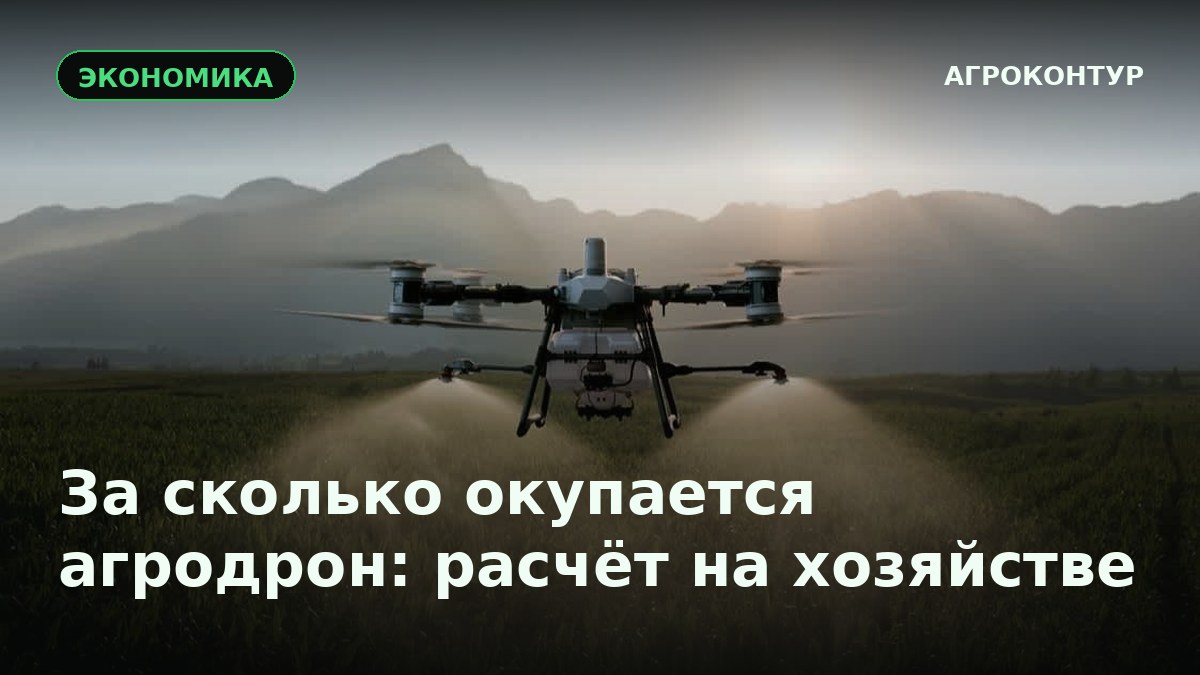 За сколько окупается агродрон: расчёт на реальном хозяйстве